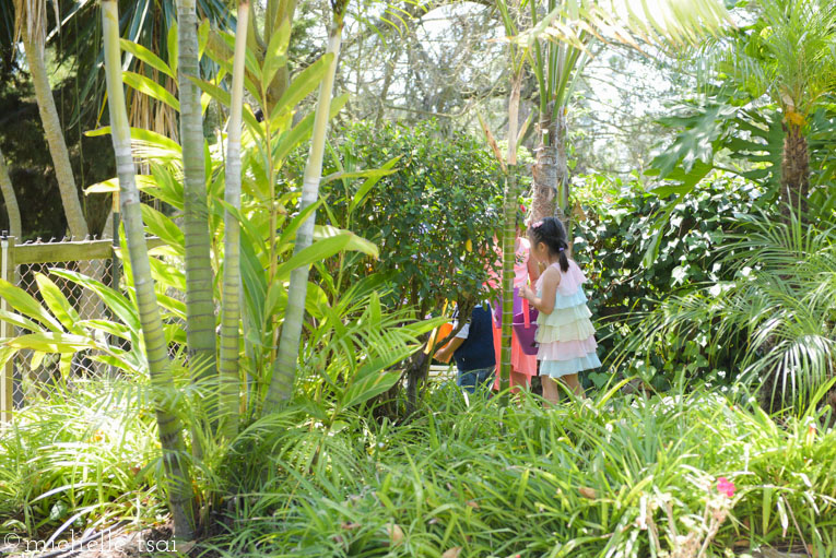 Conferring in the jungle. I mean backyard. No actually, I really mean jungle.