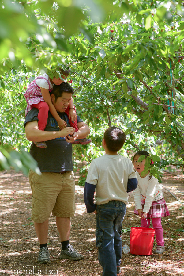 We decided to stop at another cherry farm just down the way because while the first farm was very kid friendly with its trees low enough for even Jonah to pick from, its red wagons, and large open area perfect for water gun fights, it didn't have very sweet tasting cherries (a lady from another group told me they needed another week or two to ripen). So, we decided to see if the second farm would yield sweeter results.