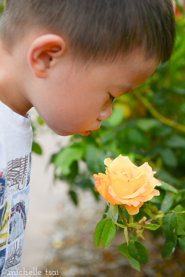 Yep, definitely a good thing to stop and smell the roses every once in a while.