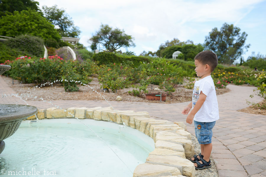 This past summer was all about the potty for this boy. Something about this fountain reminded him of potties for some reason...