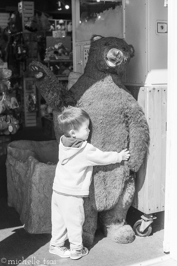 We stopped into a tourist trap, I mean souvenir store, where Jonah fell instantly and totally in love with this giant, ratty, ancient, dusty, musty old bear.