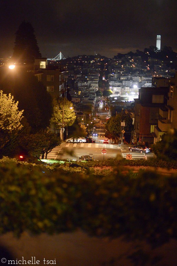 A nighttime drive down Lombard Street to complete our total tourist trip.