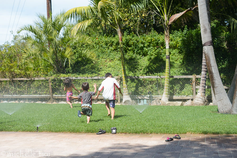 And for their first day surprise, we let them loose on our newly installed lawn! The finishing piece of the backyard reno that took much longer than the given estimate. Of course.