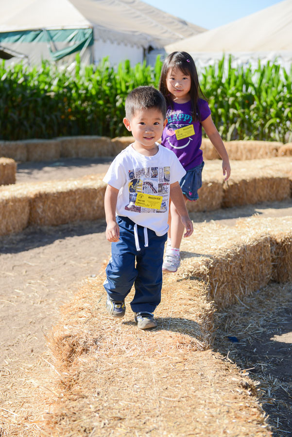 Hay bales.