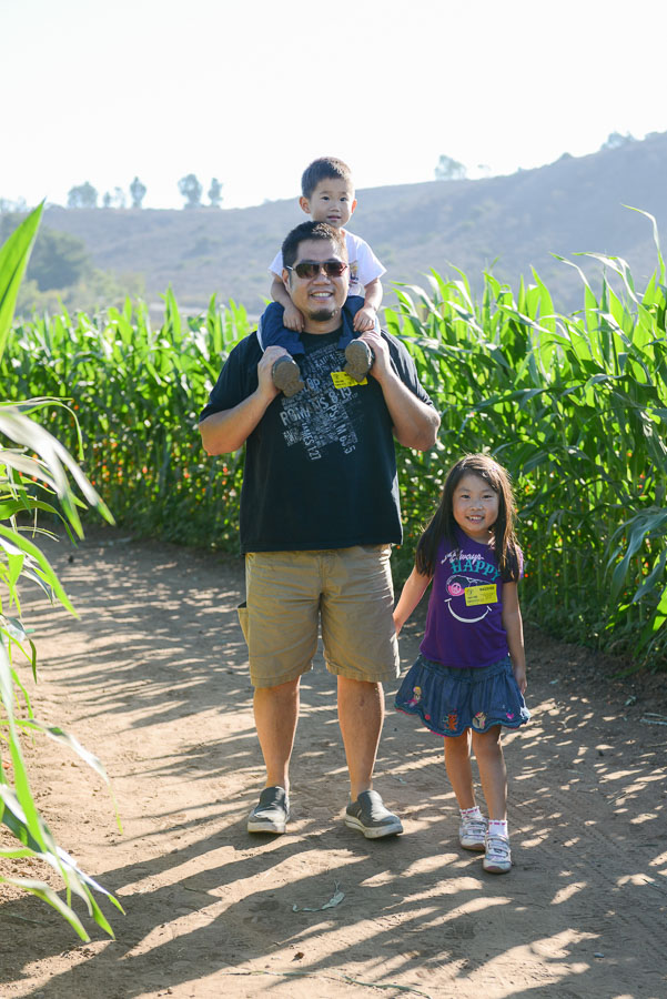 Corn maze.