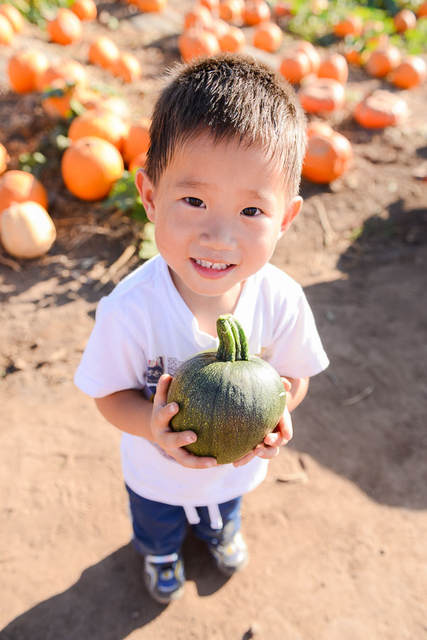 Until he discovered this green one and then the little orange one was history.