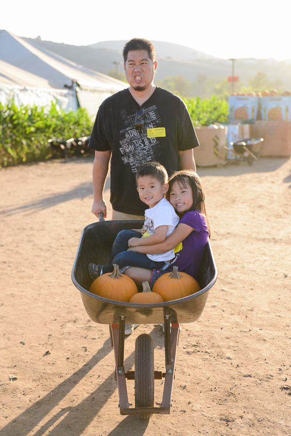 Found him a wheelbarrow full of PUNKins. Must've been heavy from the look of him.