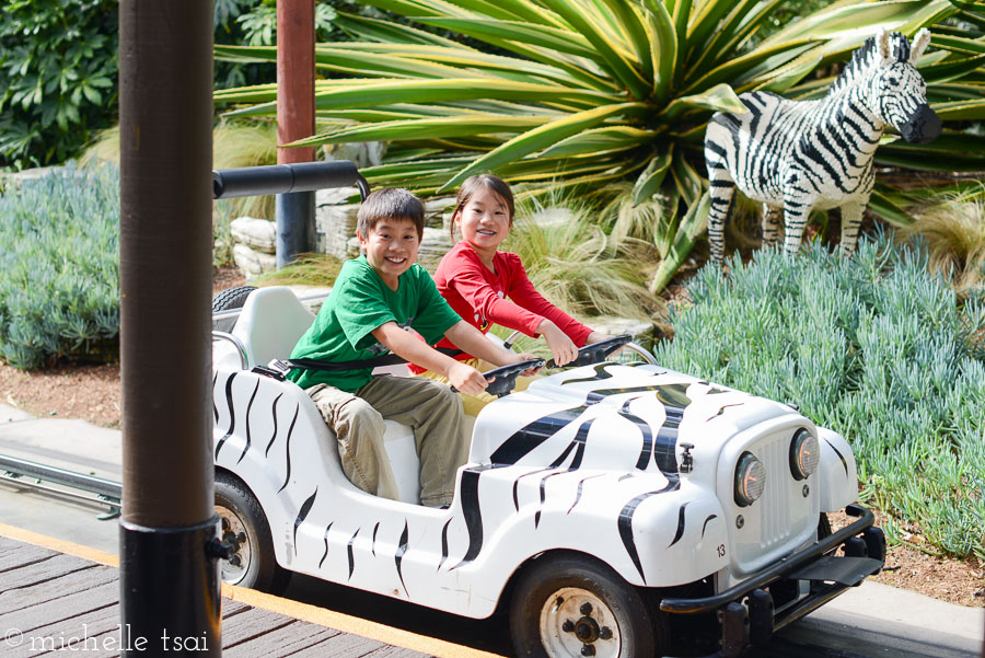 Our older two were FINALLY big enough to ride this one-mile-an-hour safari ride by themselves! Gasp!