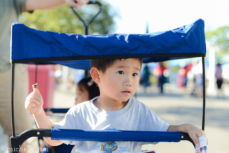 On the lookout for another ride he can ride.