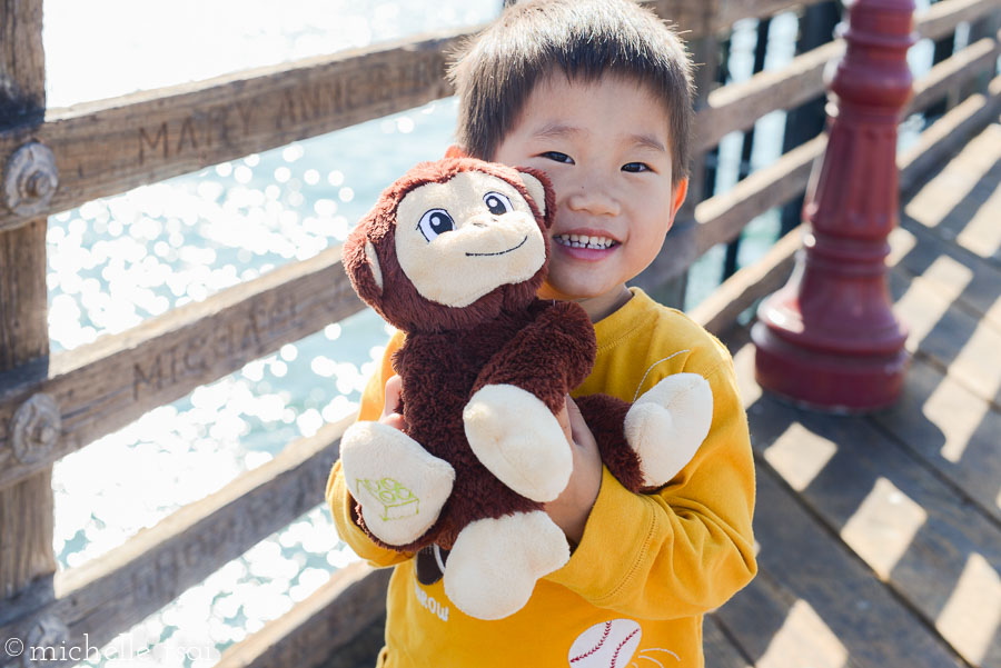 This stuffed monkey is his latest new love/BFF. From Legoland. To add to his millions of former loves/BFFs at home.