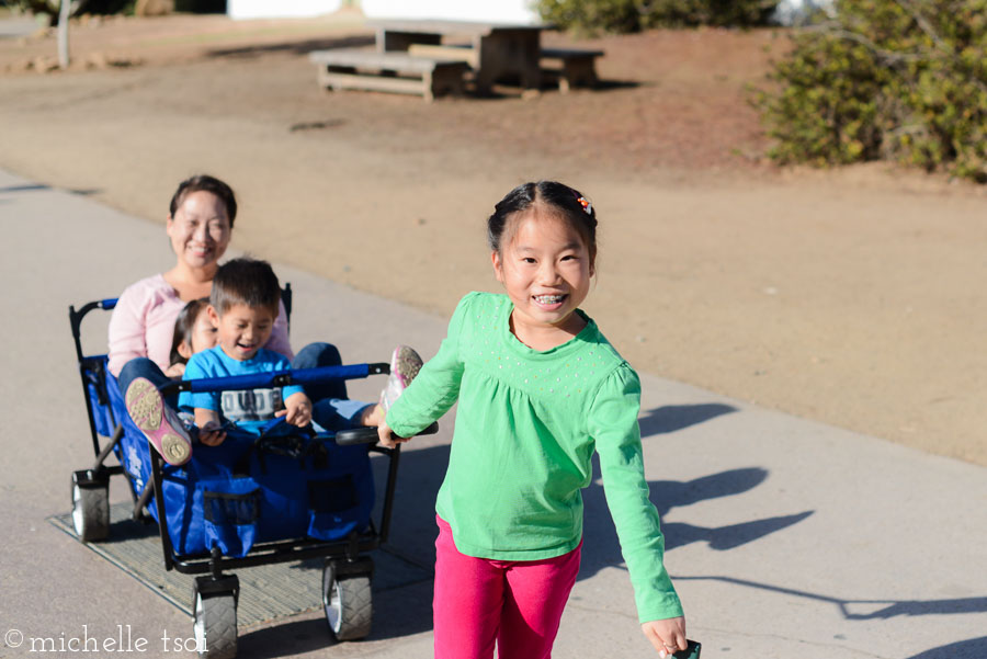 Then the mama got tired so she volunteered to pull the wagon. 