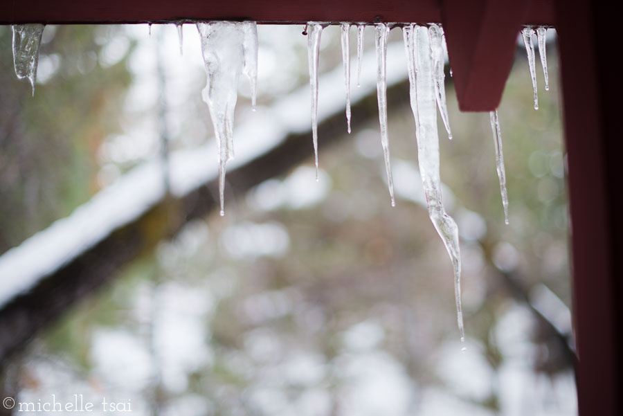 We arrived just after a snowstorm had left a lovely blanket of the fluffy white stuff for us to play in. Though it was plenty cold at night, the day looked to be heating up into the 50s so things were melting fast. These icicles were gone by the day's end. But first, we had a whole day of snow fun ahead of us.