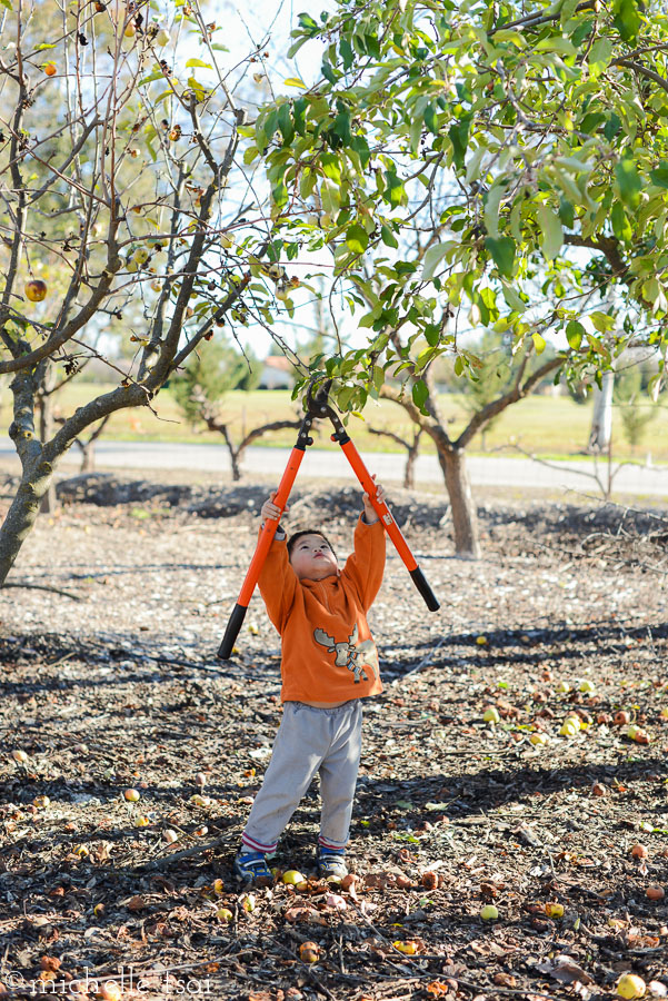 Can't. Reach. The. Pesky. Branch. (It's hard being three).