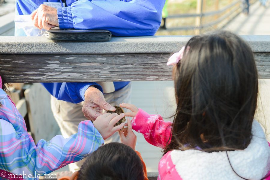 This volunteer guide let them feel a bit of the seal fur. It was soft and thick.