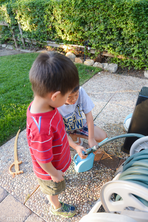 They moved on to watering our plants and trees.