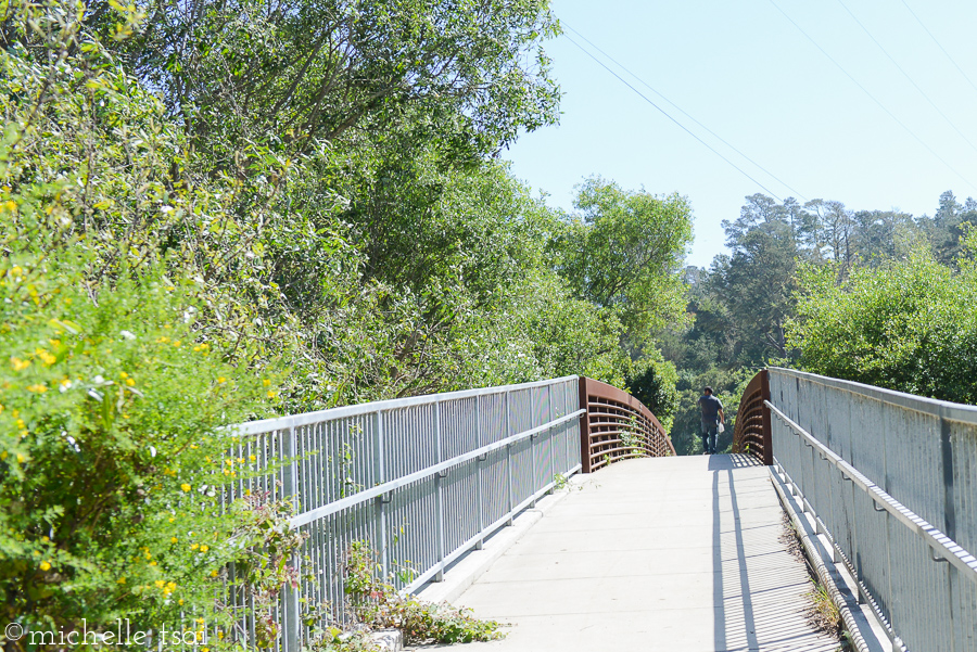 I spotted this bridge and wanted to see what was on the other side.