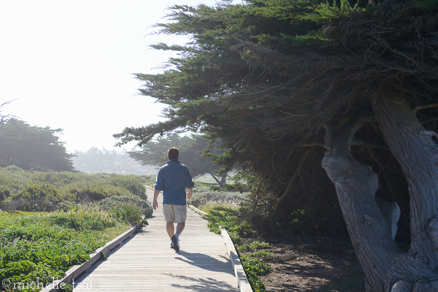 And another walk on the wooden boardwalk.