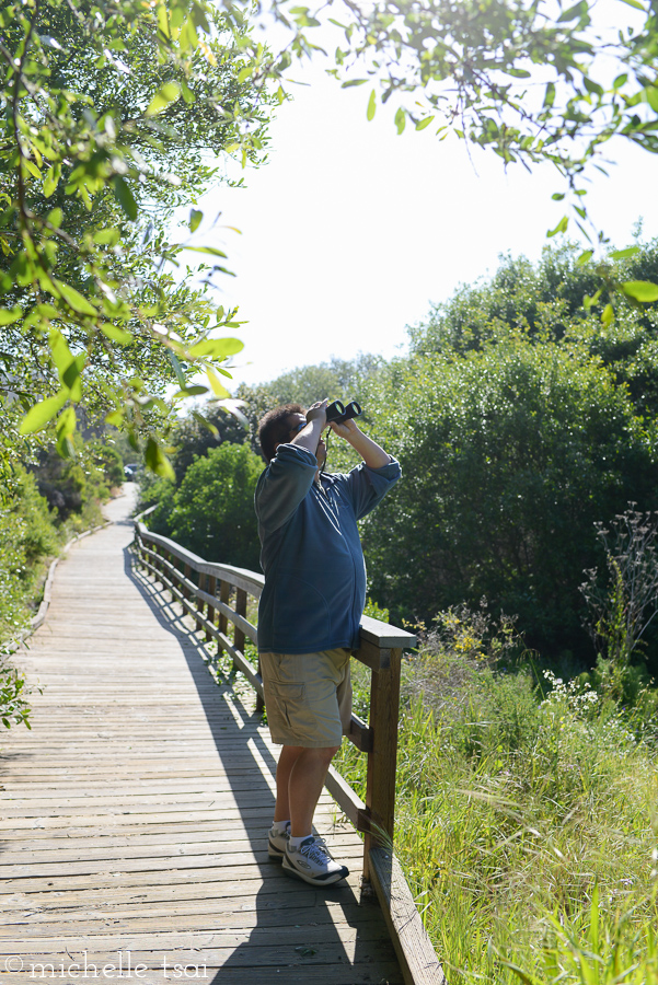 This time he brought along and made use of the binoculars we found in the cottage. He spotted a bird in a nearby tree. I forget now what kind of bird it was. Which is what tends to happen a month after the fact. Live and learn. Or, in my case, just live and forget the small stuff.