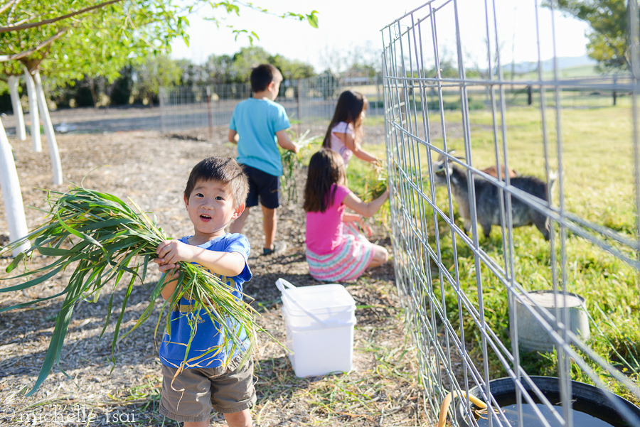 "Wook how much grass I got, Mommy!"