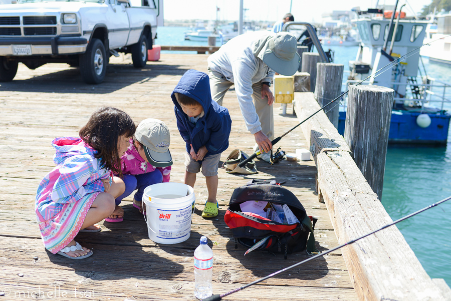 Inspecting their catches of the day.