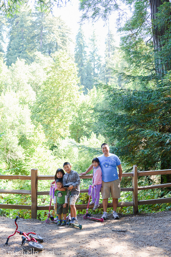 Surrounded by enormous redwood trees. Beautiful and smelled great, too.