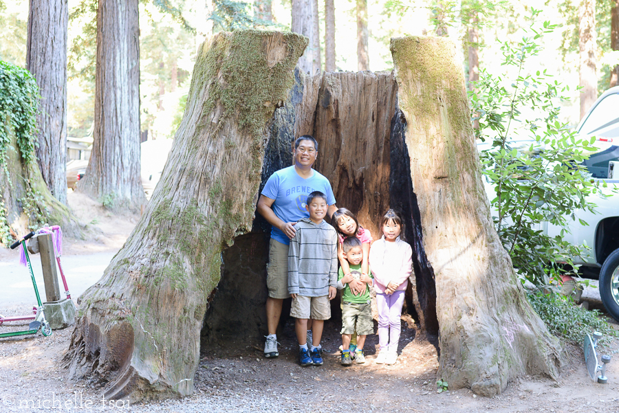 A hollowed out tree trunk! Cool!