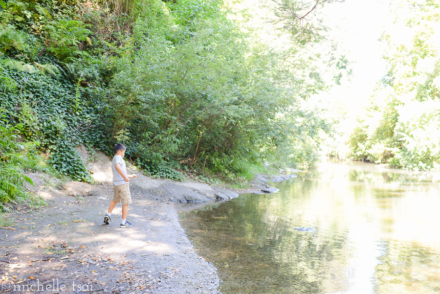 Skipping stones.