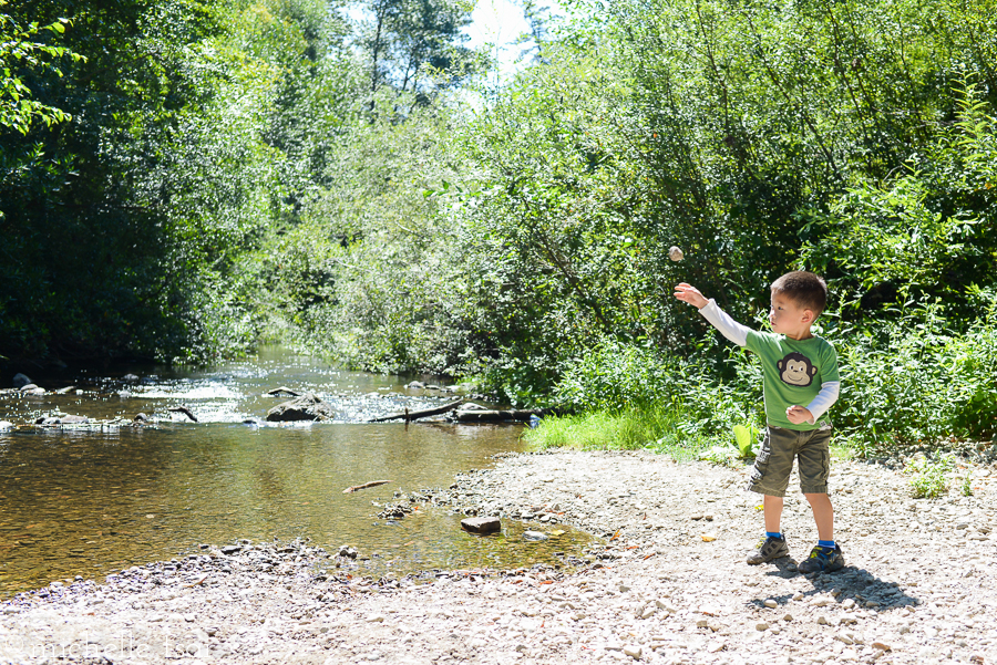 Throwing rocks one after another into the water...