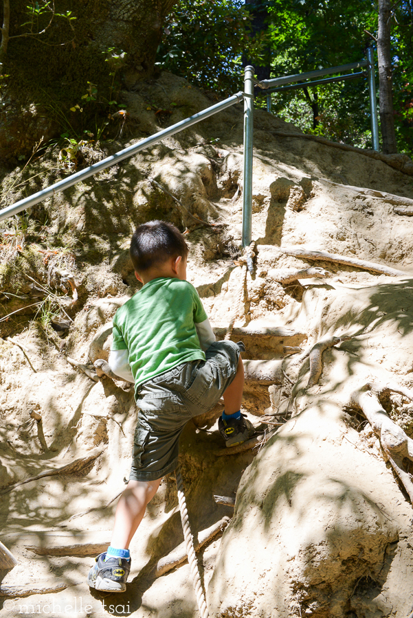 And then it was time to make the long (not really) climb back up to our RV site. Because lunchtime was near!