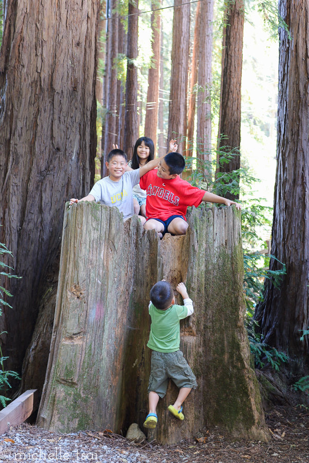 And after lunch, we got some visitors! Friends from church, the Wongs, were vacationing in nearby Monterey and drove over to hang out with us for the afternoon. Two big boys doing the bunny ears, a little sister smiling in the back, and a little brother desperately trying to climb up and join the fun. Yup, sounds about right.