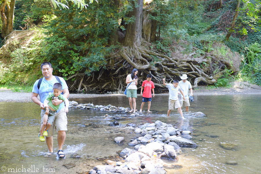 We forded the stream because we heard it told there were some hiking trails on the other side.