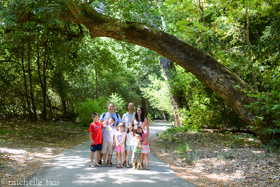 Lo and behold, we found a trail. Took a picture under this curved tree hoping we'd recognize it on the way back. Nature can be so confusingly similar sometimes.