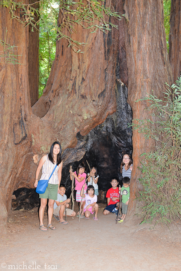 A huge burned out tree trunk that fit all the kids and both moms. Whoa.