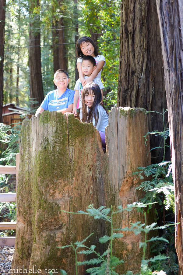 One more shot of kids in a tree trunk the next morning before it was time to pack up and move on out.