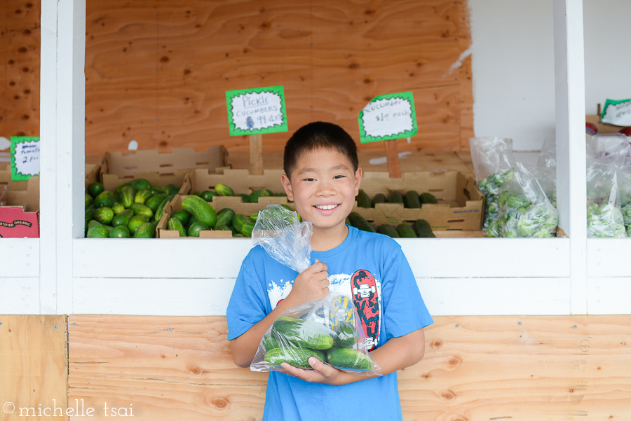 Mikey was excited to find pickling cucumbers and couldn't wait to get them home to make some pickles (one of his summer bucket list items).