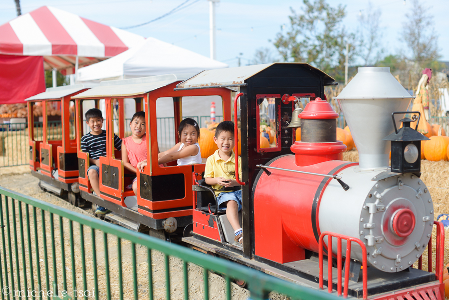 We still make Mikey and Allie ride the kiddie train. And he loves it. Not really, but he's a good sport.