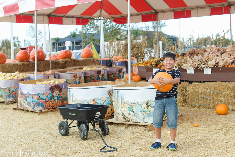 We moved on to peruse the pumpkins. And ended up not buying any since it was still early October and we had plenty of time. (This will factor in to a future story I will be telling sometime in the future.)