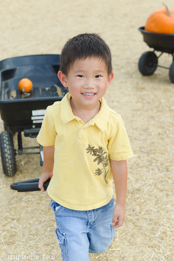 He even treated it to its own special wagon ride. But alas, we made him break up with it and leave it behind.