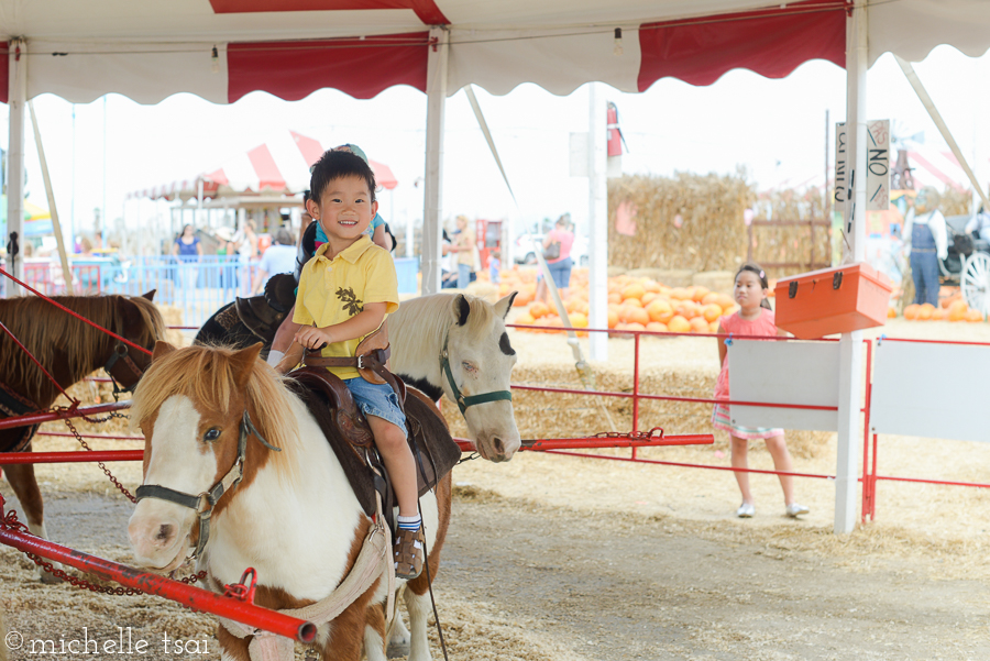 Ah young love though. Quickly replaced by a pony ride.