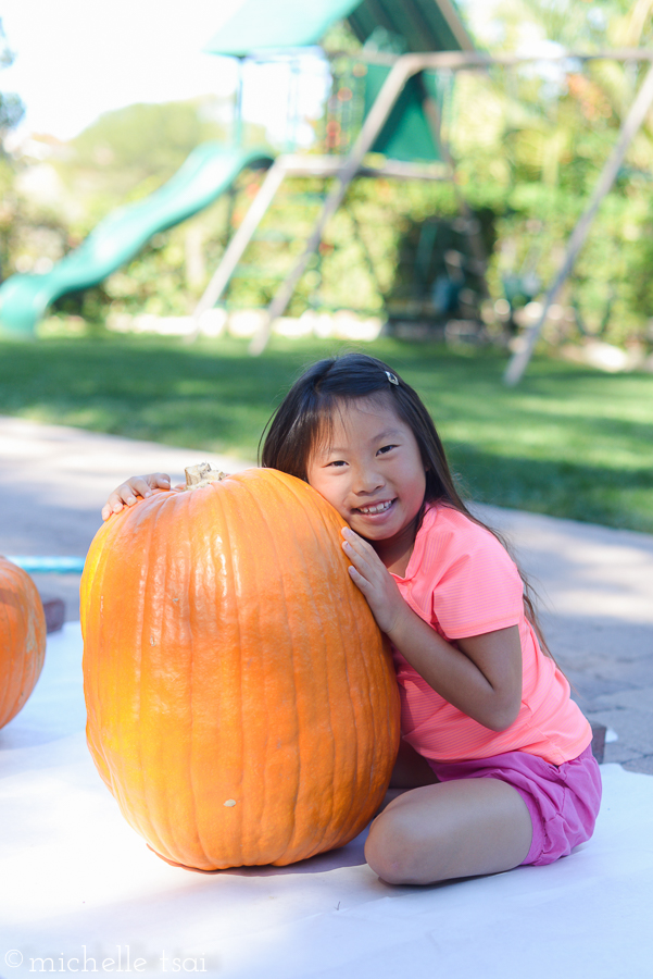 And this would be the enormous $15 pumpkin I spoke of earlier.