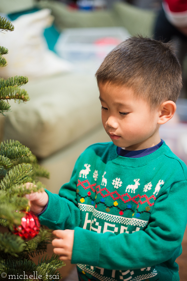 This year someone was waaaaay more helpful with the ornament hanging than in years past.